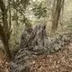 Custom Loogu Camo Netting CN1ESCLSTC Loogu 2