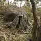 Custom Loogu Camo Netting CN1ESCLSTC Loogu 3