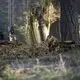 Custom Loogu Camo Netting CN1ESCLSTC Loogu 5
