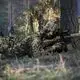 Ghillie Suit Loogu Brand LGGS2LST2 One-size 7