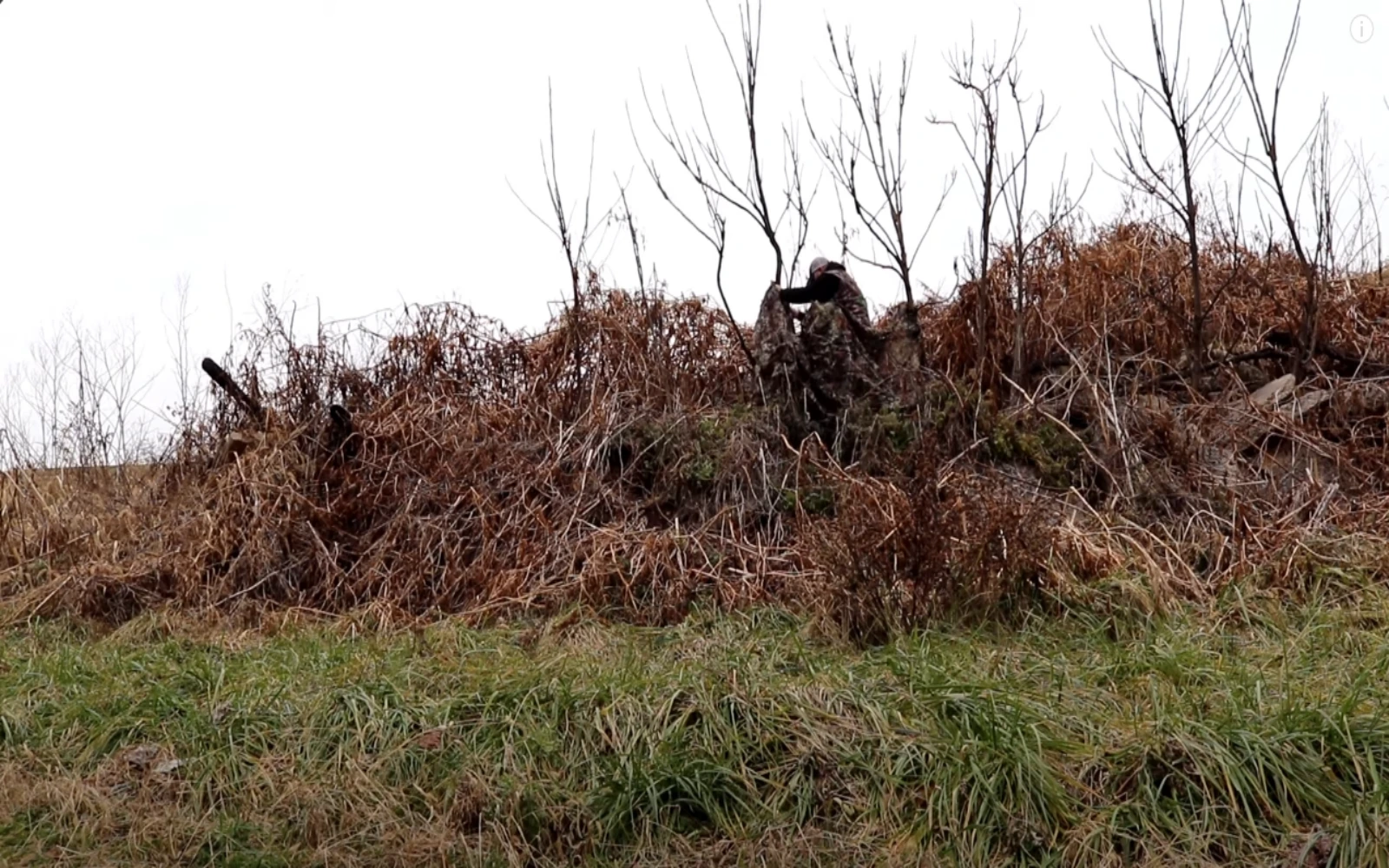 Quickly camouflage your hunting platform and watchtower, ready to welcome your prey 9