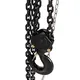 SEAGULL Block and Chain Hoist Block and Chain Hoistdirectly Sale 5