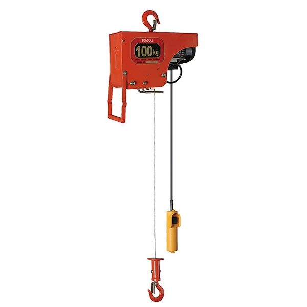 100kg/200kg small steel wire rope electric lifting hoist 1