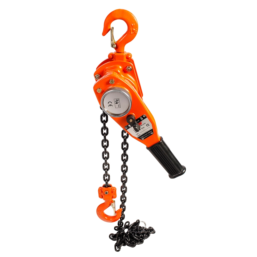 0.75t-6t Seagull/OEM Double Beam Crane Packed in Carton and Pallet Lever Block 1