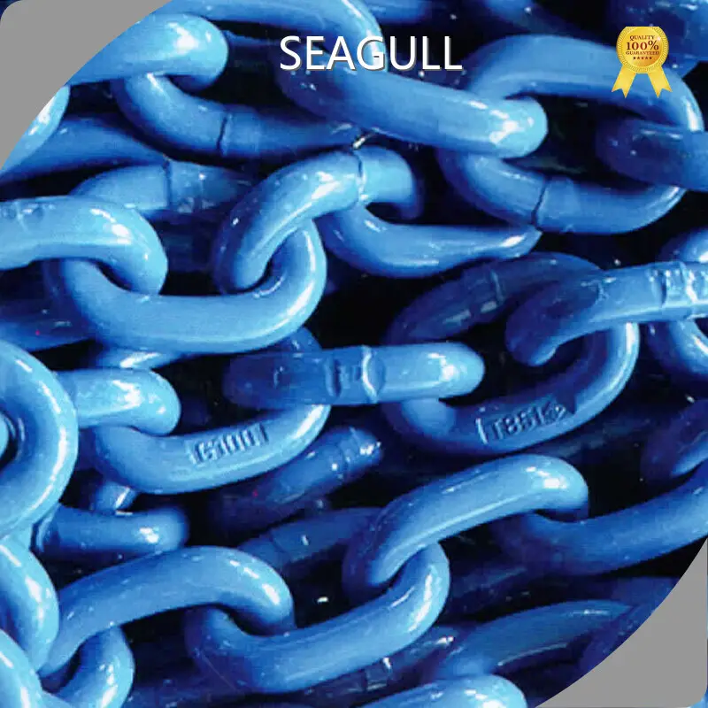Best Price Manual Chain Hoist Bulk Production 1