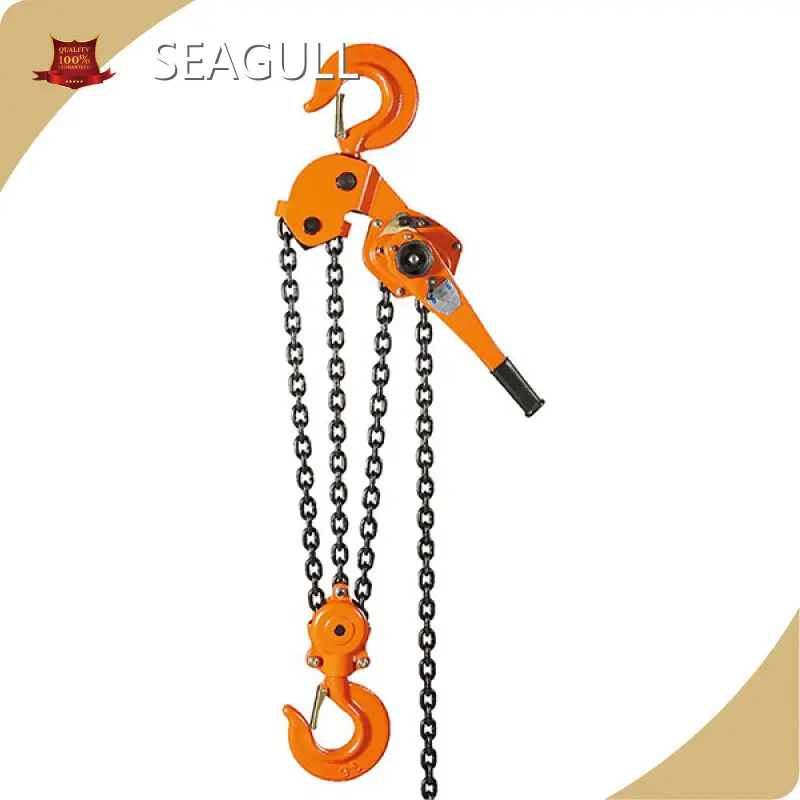 Professional Manual Chain Lift Supply for Workplace 1