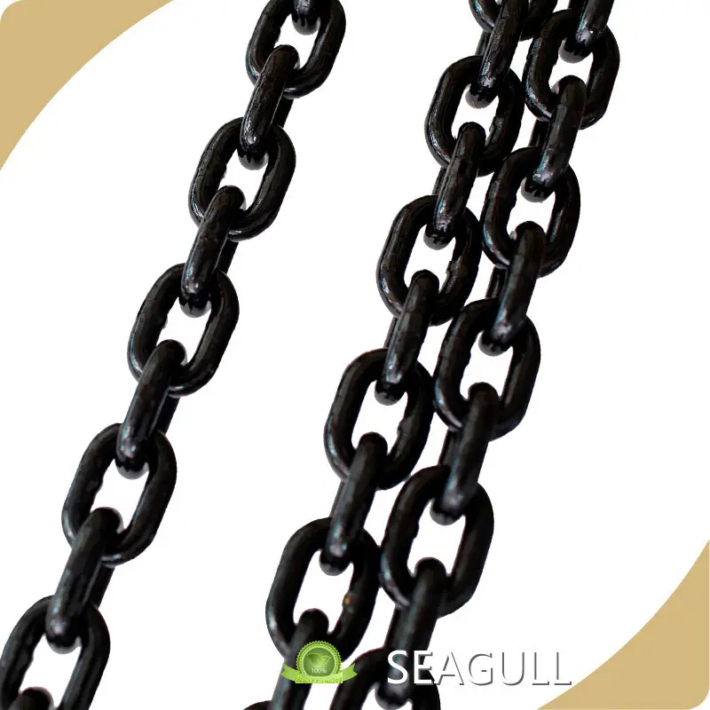 Hand Chain Block Made in China for Petrochemical 1