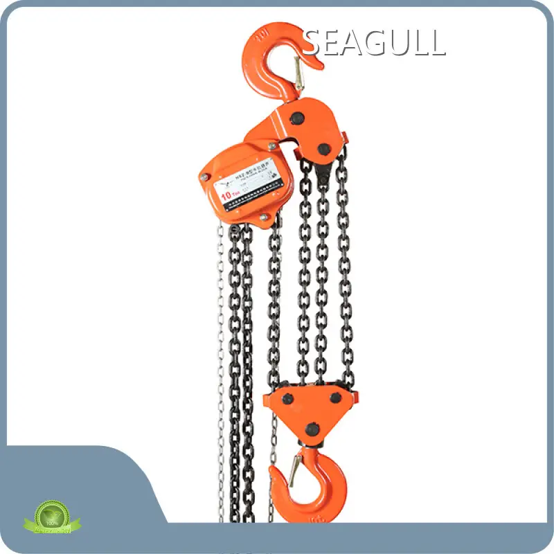 Cost-effective Chain Puller Price List 1