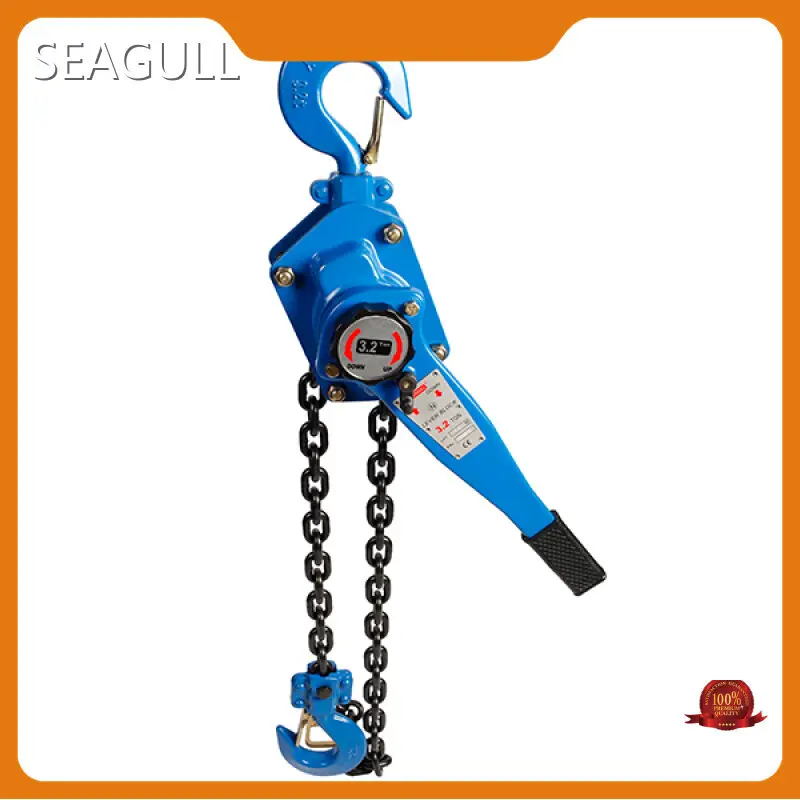 Highly Rated Chain Puller Price for Petrochemical 1
