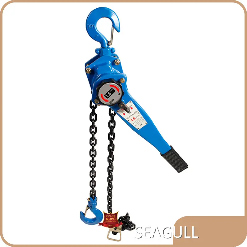 Bulk Lever Block 3 Ton Best Supplier for Hospital 1