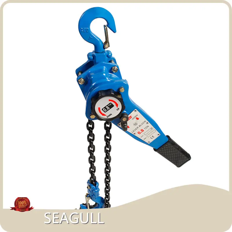 Hot Sale Hand Hoist Factory Price for Workplace 1