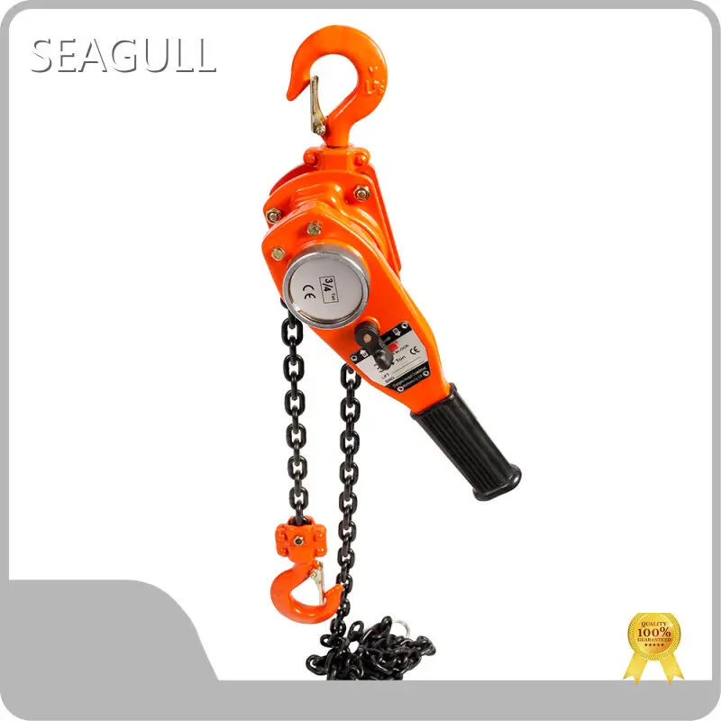Manual Chain Lift Supplier Company 1