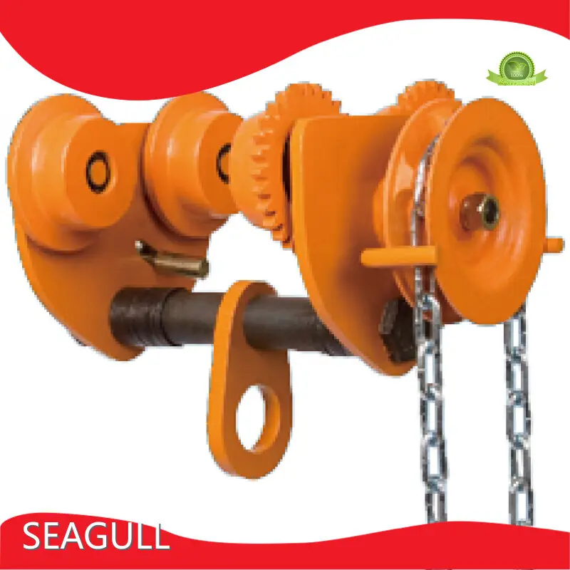 Fast Delivery Manual Chain Lift by SEAGULL 1