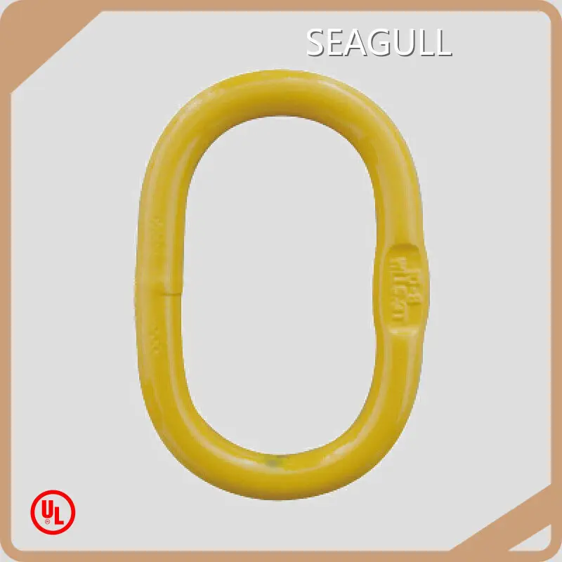 Hand Hoist Chain Made in China for Petrochemical 1