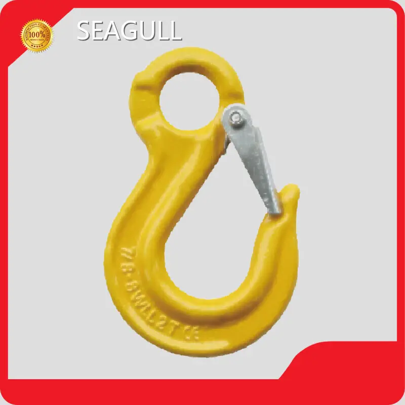 Customized Hand Hoist Hand Hoist Company 1