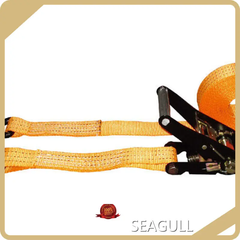 Hot Sale Lever Ratchet Hoist Company 1