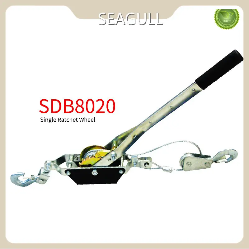 Manual Chain Hoist Manufacturing for Workplace 1