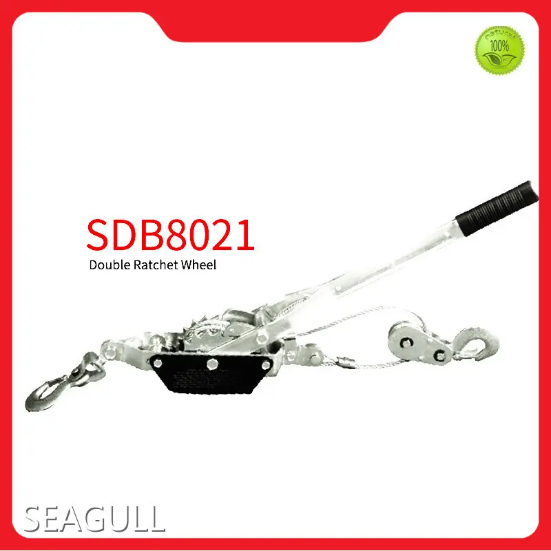Hand Chain Hoist for Business Factory Direct Supply 1