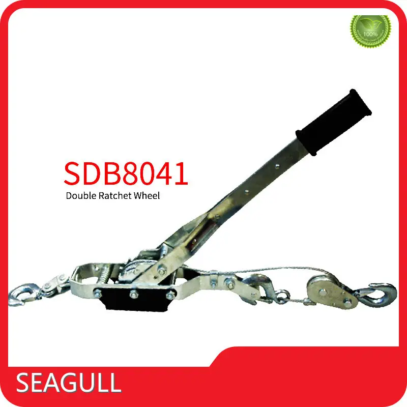 Hand Hoist at Sale Made in China 1