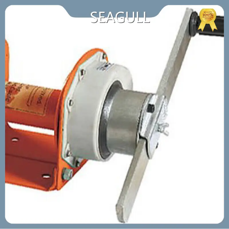Manual Chain Hoist Series for Aquariums 1