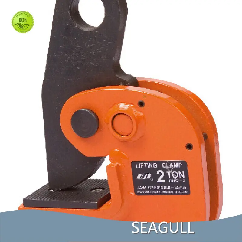 Hand Hoist Chain Personalized for Aquariums 1