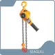 Good Selling Hand Chain Block Hand Chain Block Company 1