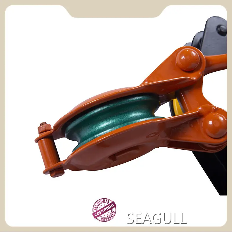 Manual Chain Lift Best Supplier at Sale 1