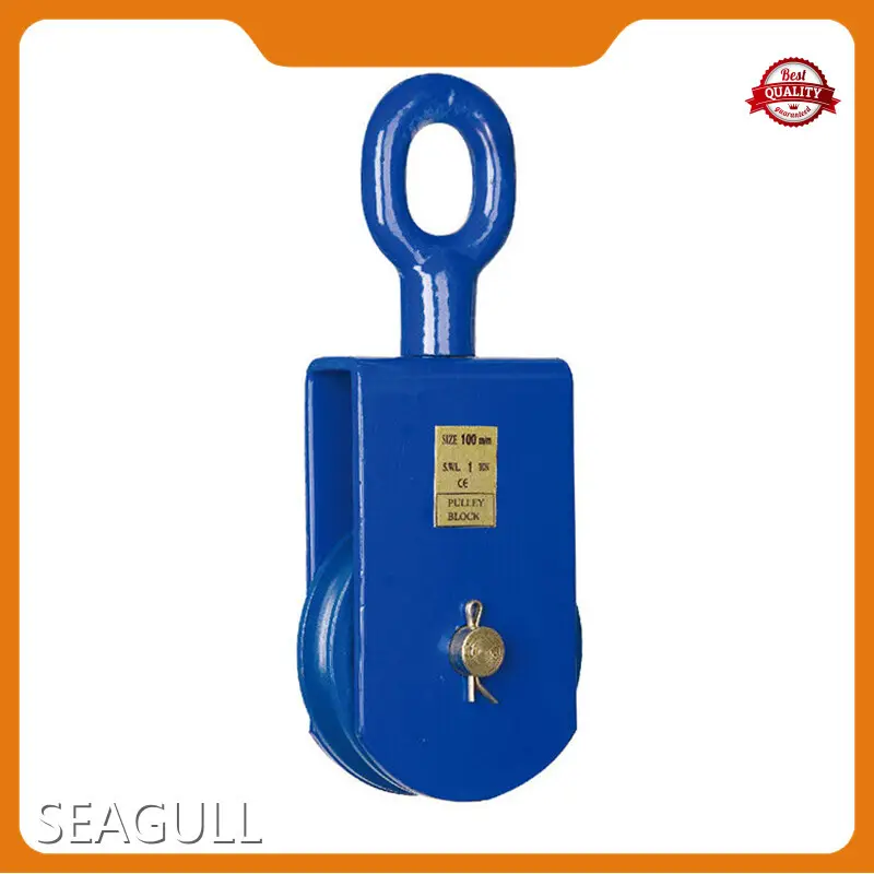 Worldwide Hand Chain Hoist Hand Chain Hoist Company 1
