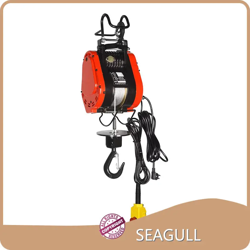 Electric Crane Hoist with Custom Services for Workplace 1