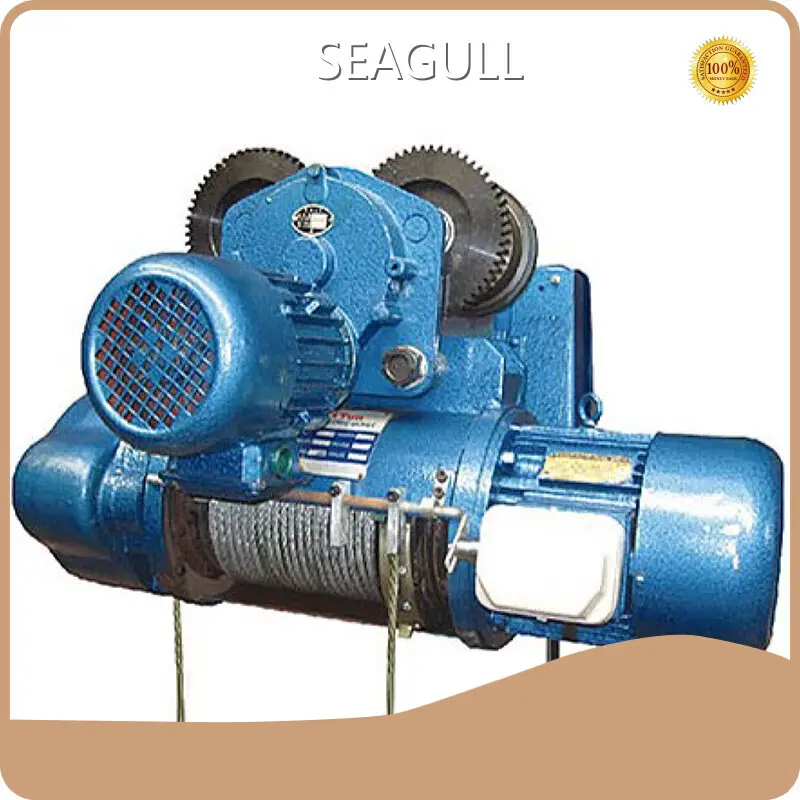 SEAGULL Hand Chain Hoist Directly Sale 1