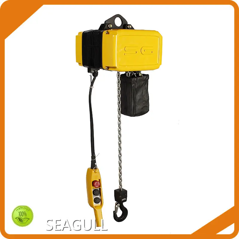 Wholesale Electric Crane Hoist Factory for Different Industries 1