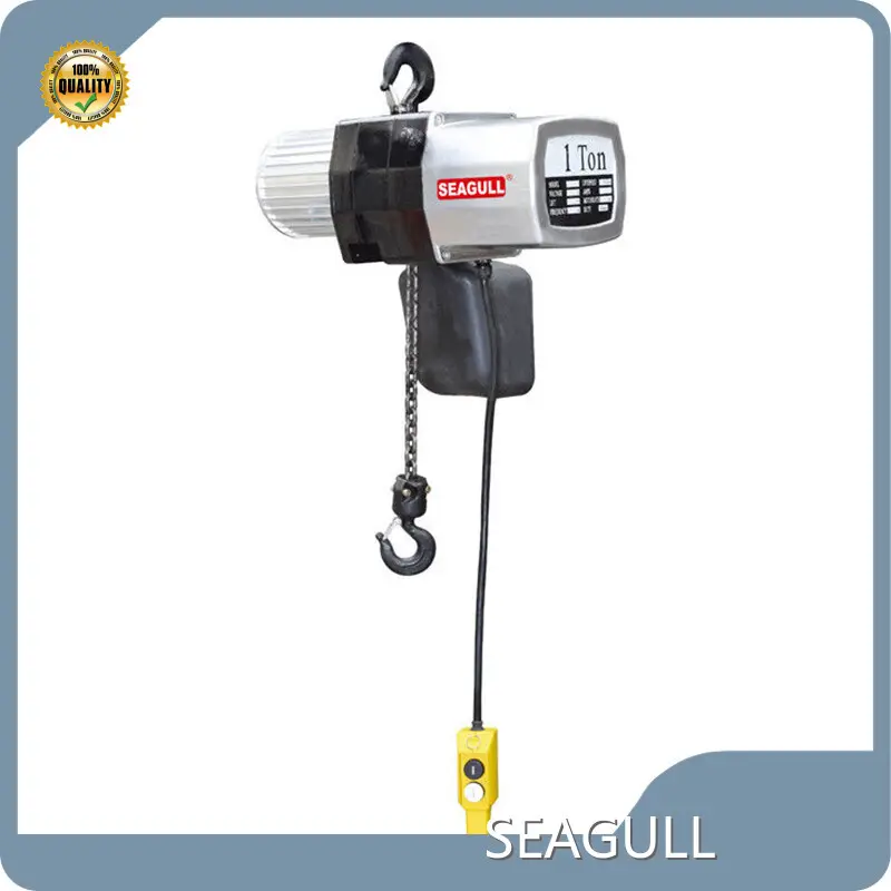 Electric Crane Hoist for Different Industries Factory Direct Supply 1
