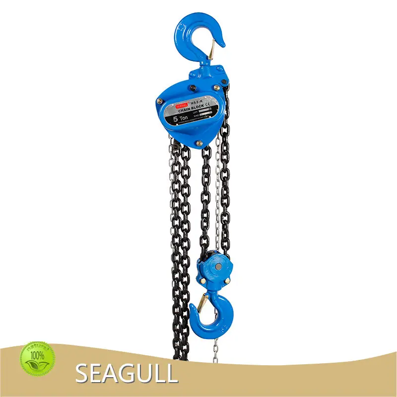 Professional Hand Hoist Best Supplier Company 1