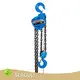 Professional Hand Hoist Best Supplier Company 1