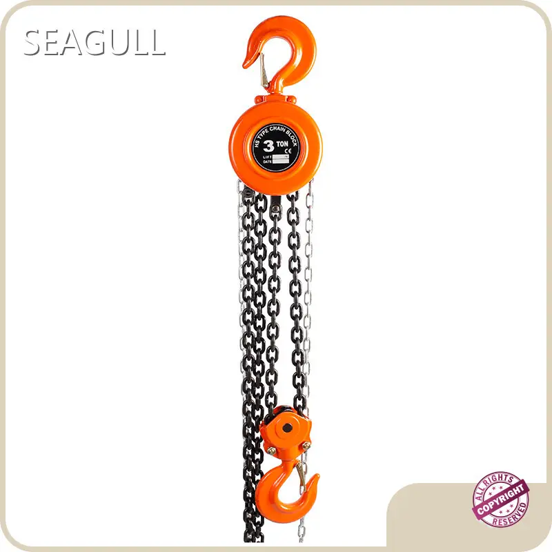 Professional Hand Hoist Chain for Sale 1