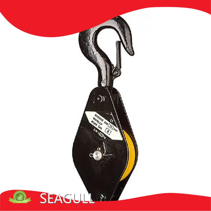 Manual Chain Hoist Factory Direct Supply for Workplace 1