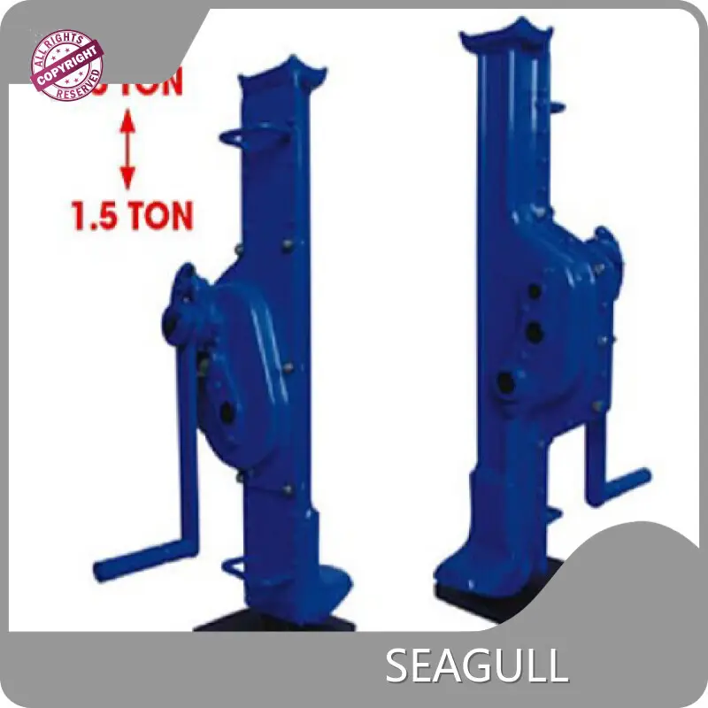 Cost-effectivehand Chain Hoist for Aquariums 1