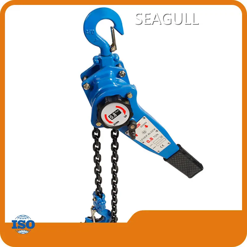 Praise Lever Ratchet Hoist Series for Wholesale 1