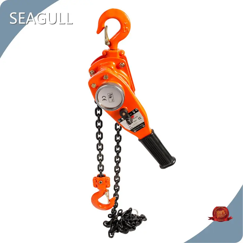Professional Lever Block 3 Ton Supply at Sale 1