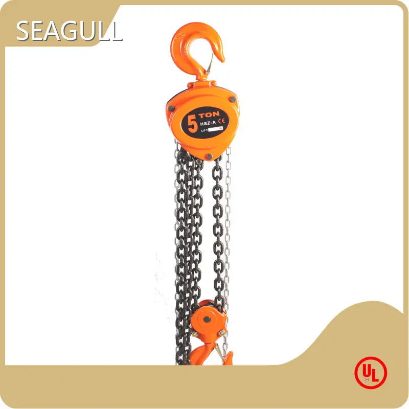Cost-effective Block and Chain Hoist All Sizes for Petrochemical 1