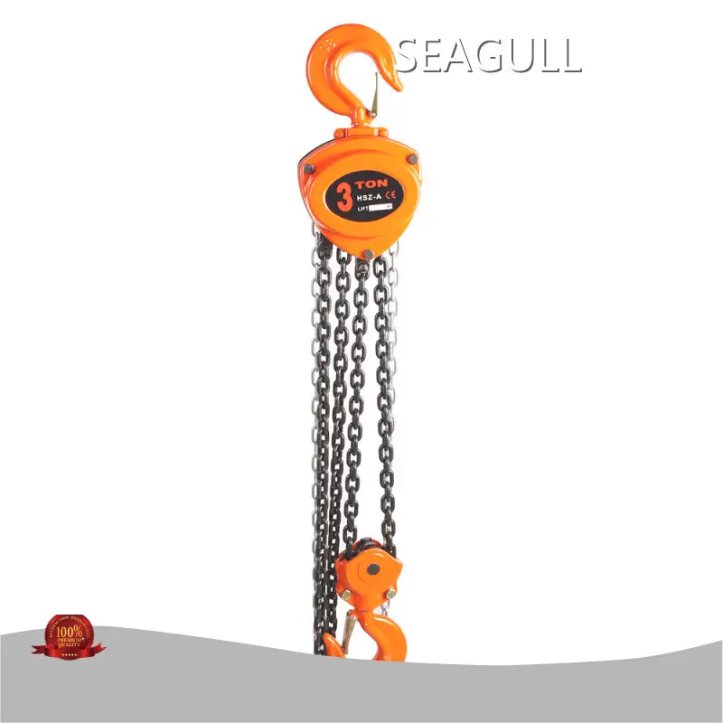 Hot Sale Block and Chain Hoist Factory Price for Petrochemical 1