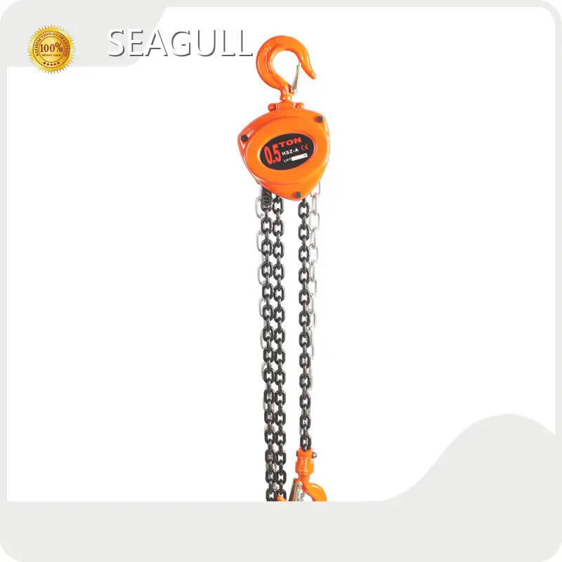 Customizedlever Ratchet Hoist Company 1