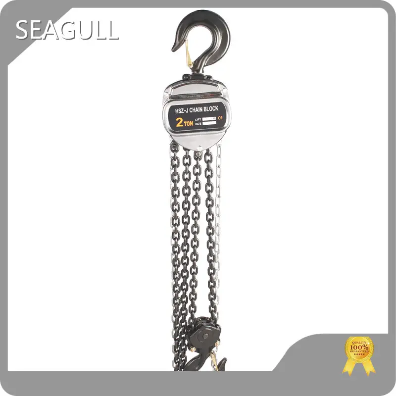 Manual Chain Block for Petrochemical All Sizes 1