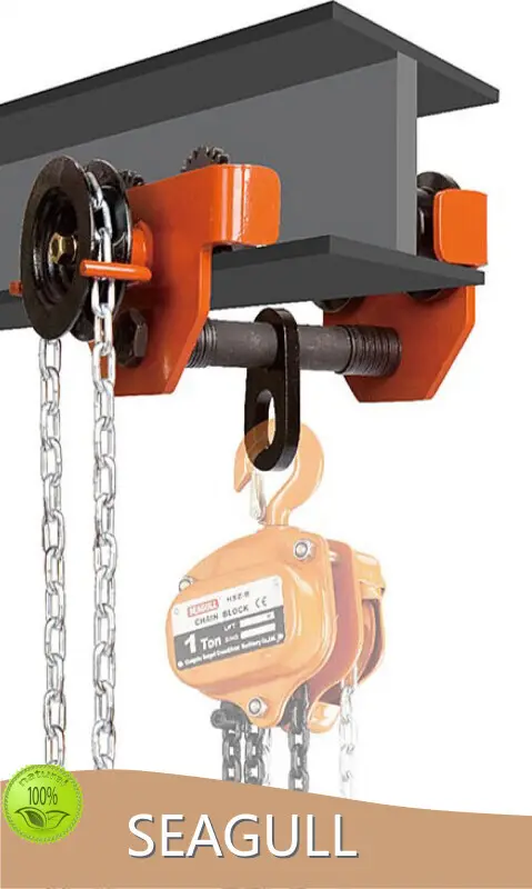 Fine Quality Hand Chain Hoist Hand Chain Hoist Company 1