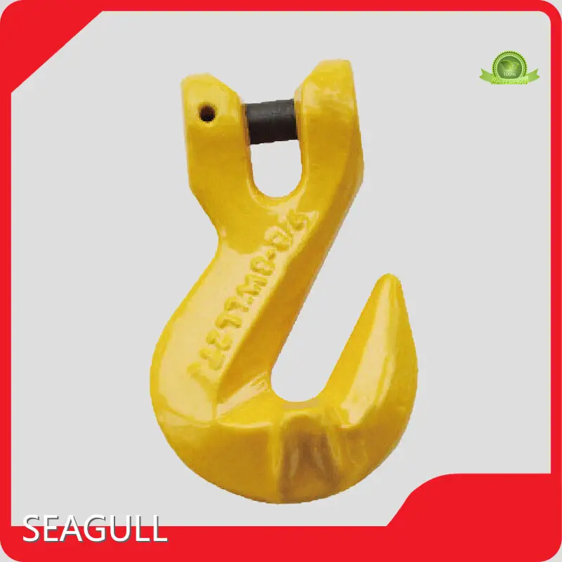 Cost-effective Manual Chain Hoist Price List 1