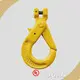 Hand Chain Block - for Different Industries - SEAGULL 1