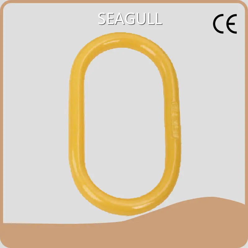 Sturdy Manual Chain Hoist Price List 1
