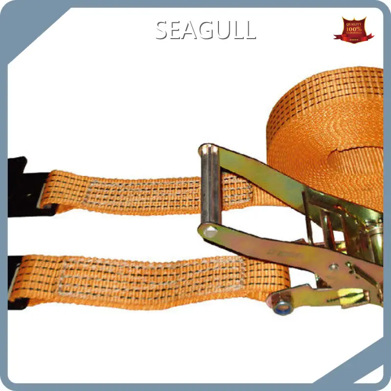 Manual Chain Hoist for Hospital Made in China 1