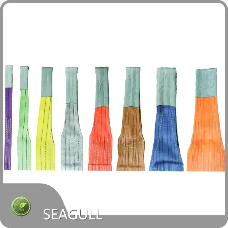 SEAGULL Manual Chain Hoist Manual Chain Hoistmanufacturing 1