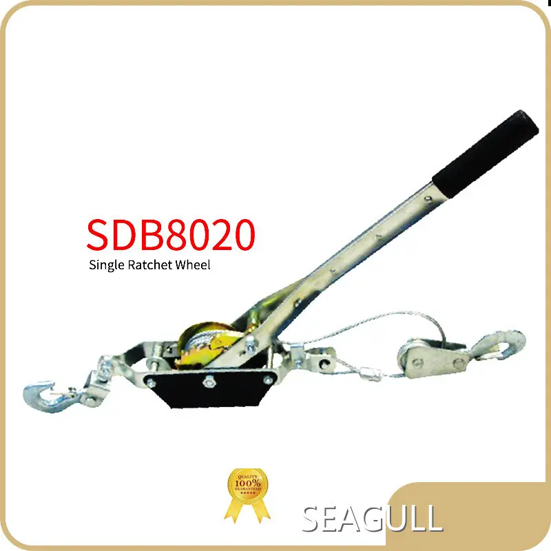 Low-cost Manual Chain Hoist Price List 1